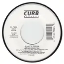 7inch Vinyl Single - Blake & Brian - Another Perfect Day