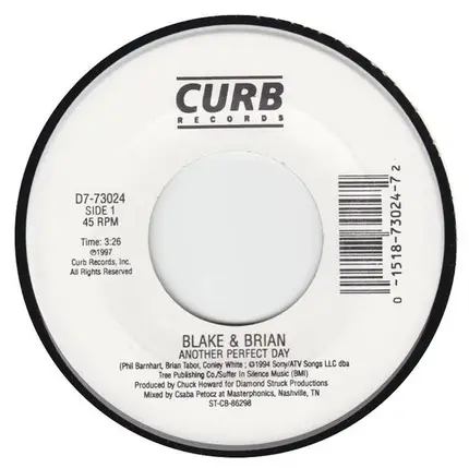 Blake & Brian - Another Perfect Day
