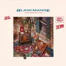 12inch Vinyl Single - Blancmange - The Day Before You Came