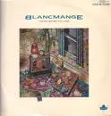 12inch Vinyl Single - Blancmange - The Day Before You Came
