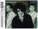 CD Single - Blank & Jones Feat. Robert Smith - A Forest
