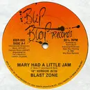 12'' - Blast Zone - Mary Had A Little Jam