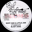 12'' - Blast Zone - Mary Had A Little Jam - Promo