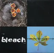 Bleach - Bleach