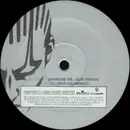 12'' - Bleachin' - Peakin' (The Mixes)