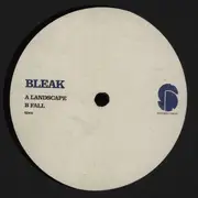 12inch Vinyl Single - Bleak - Landscape / Fall