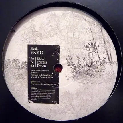 Bleak - Ekko