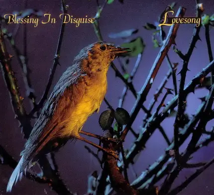 Blessing In Disguise - Lovesong