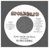 7inch Vinyl Single - Bling Dawg - Done Know Jah Rule