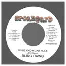 7inch Vinyl Single - Bling Dawg - Done Know Jah Rule