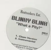12'' - Blinky Blink - What a Pity