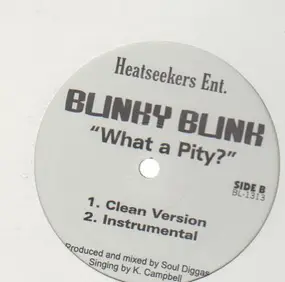 Blinky Blink - What a Pity