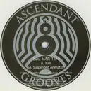 12'' - Blu Mar Ten - Fall / Suspended Animation