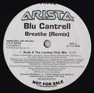 Blu Cantrell - Breathe (Remix)