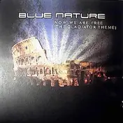 Blue Nature - Now We Are Free (The Gladiator Theme)