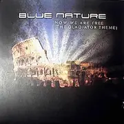 12'' - Blue Nature - Now We Are Free (The Gladiator Theme)