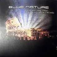 Blue Nature - Now We Are Free (The Gladiator Theme)