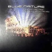 Blue Nature - Now We Are Free (The Gladiator Theme)