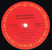 LP - Blue Öyster Cult - Cultosaurus Erectus - OBI + Booklet