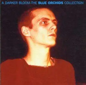 BLUE ORCHIDS - A Darker Bloom