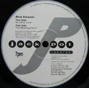 12'' - Blue Amazon - No Other Love