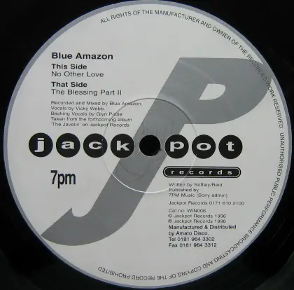 Blue Amazon - No Other Love