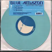 Blue Amazon - 4 Seasons