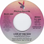 Blue Ash - Look At You Now