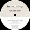 12'' - Blue Tonic World - A Wondrous Night