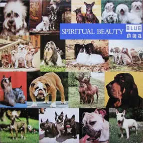 Blue China - Spiritual Beauty