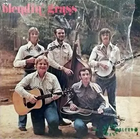 Bluegrass Blend - Blendin' Grass