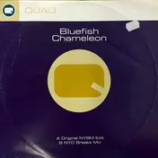 Bluefish - Chameleon