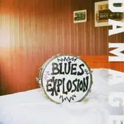 Jon Spencer Blues Explosion - Damage