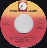 Blues Boy Willie - Why Are You Cheatin' On Me