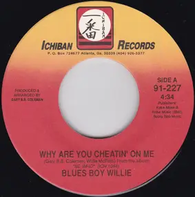 Blues Boy Willie - Why Are You Cheatin' On Me