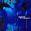 CD - Bluezeum - Portrait Of A Groove