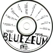 CD - Bluezeum - Portrait Of A Groove