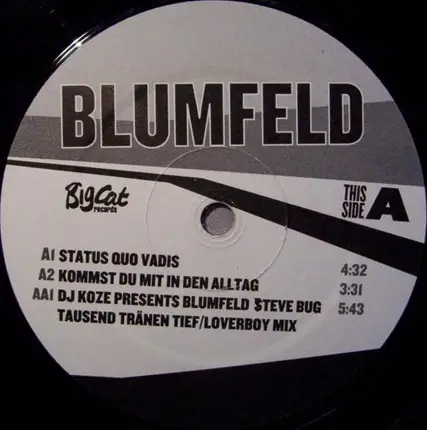 Blumfeld - Status Quo Vadis