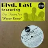 12inch Vinyl Single - Blvd. East Featuring Da Familee - Never Knew