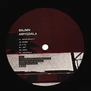 Bnjmn - Amygdala