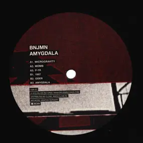 BNJMN - Amygdala