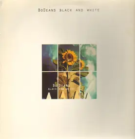 The BoDeans - Black And White
