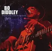 Bo Diddley - You Can't Judge A Book By The Cover