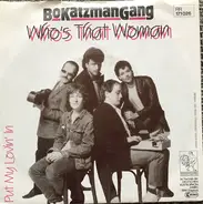 Bo Katzman Gang - Who's That Woman