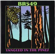 Br549 - Tangled In The Pines