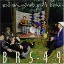 CD - Br549 - Big Backyard Beat Show
