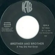 7inch Vinyl Single - Brother And Brother - If You Did Not Exist