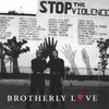 CD - Brotherly Love , The Chesnut Brothers - Brotherly Love