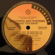 Brothers And Systems - What You Want (Remixes)