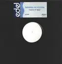 12inch Vinyl Single - Brodda Of Rhythm - Roots of Ibiza - Promo / White label